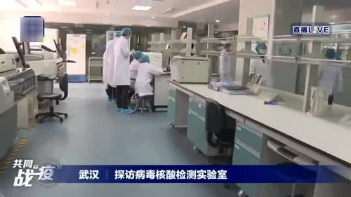 武汉 探访病毒核酸检测实验室