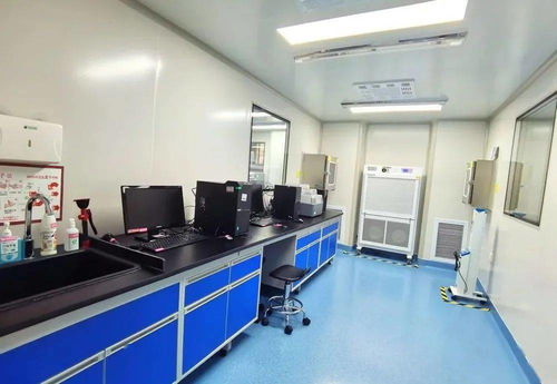 日核酸检测可达2000人次 泾县中医院PCR实验室正式启用